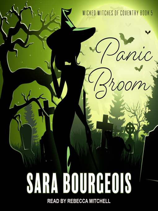 Title details for Panic Broom by Sara Bourgeois - Available